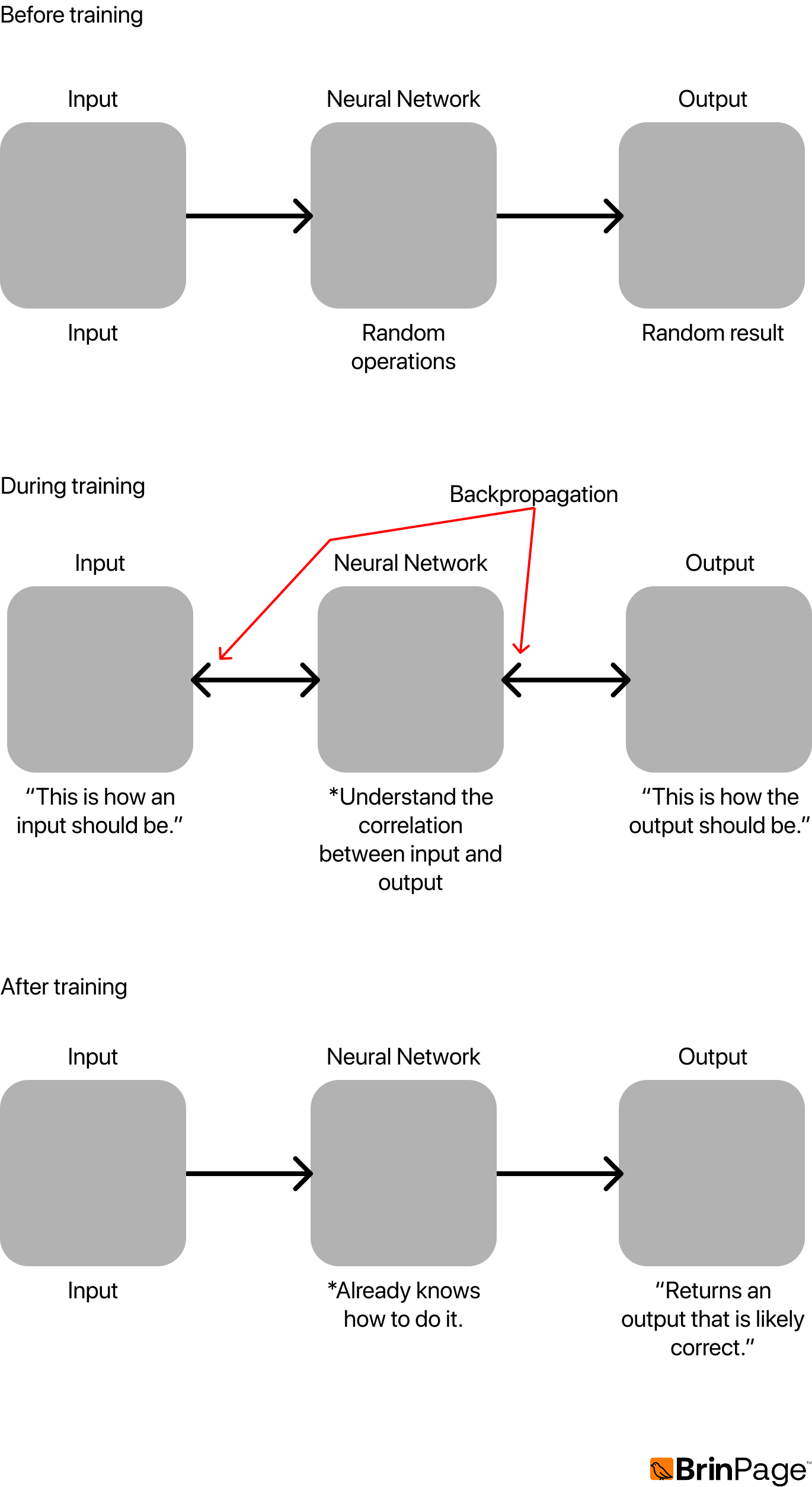 Neural Network