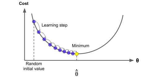 Neural Network