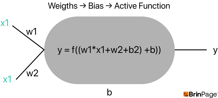 Neural Network